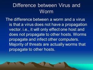 difference between virus and worm