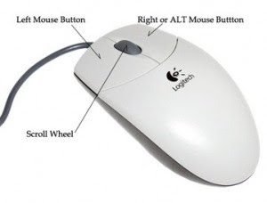 commonly used input device for pointing and clicking objects on computer